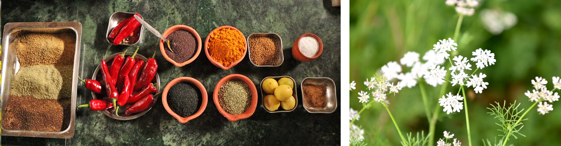 Masala - Spices, Navdanya Organics